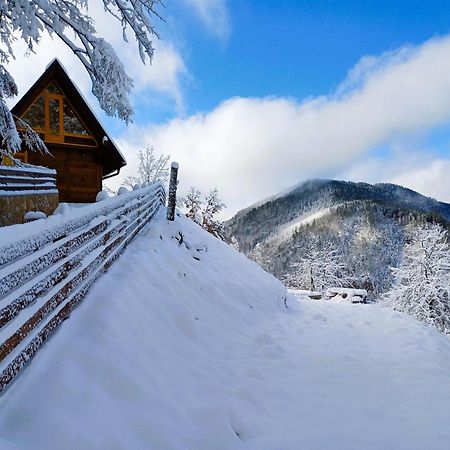 Drvene Kuce Suska - Wooden Houses Suska Zaovine Exterior photo