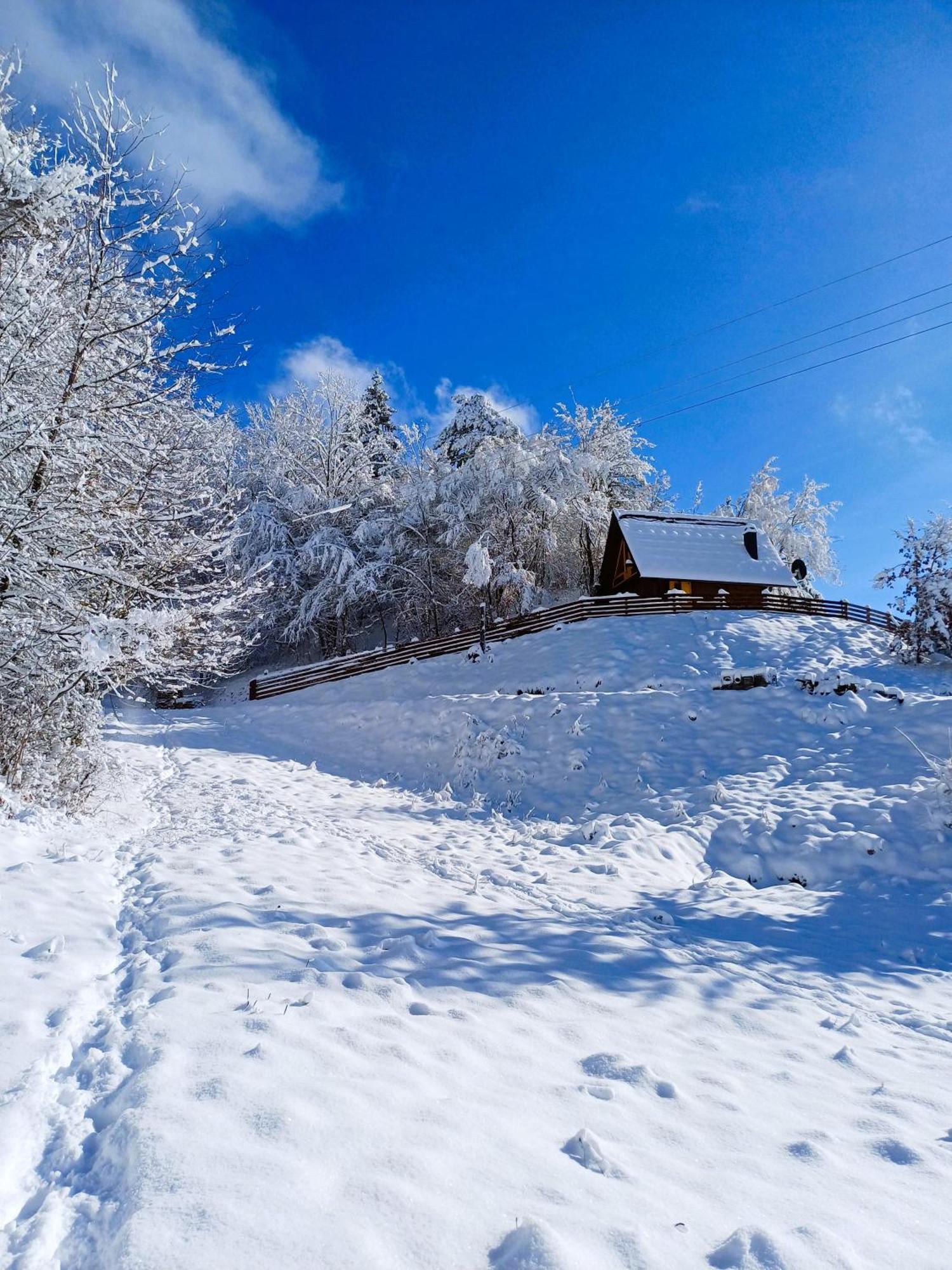 Drvene Kuce Suska Villa Zaovine Room photo